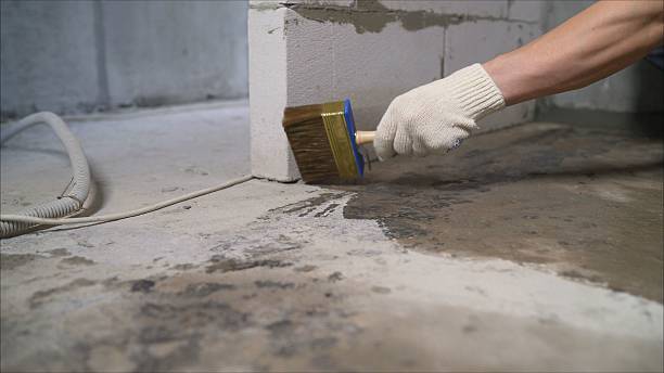 SJ Waterproofing Pros Basement Waterproofing coverage map for Birch Run, MI and surrounding area
